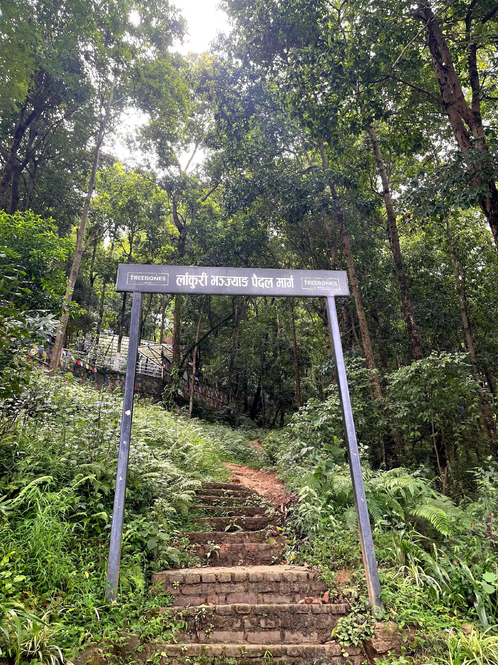 @panku🫶