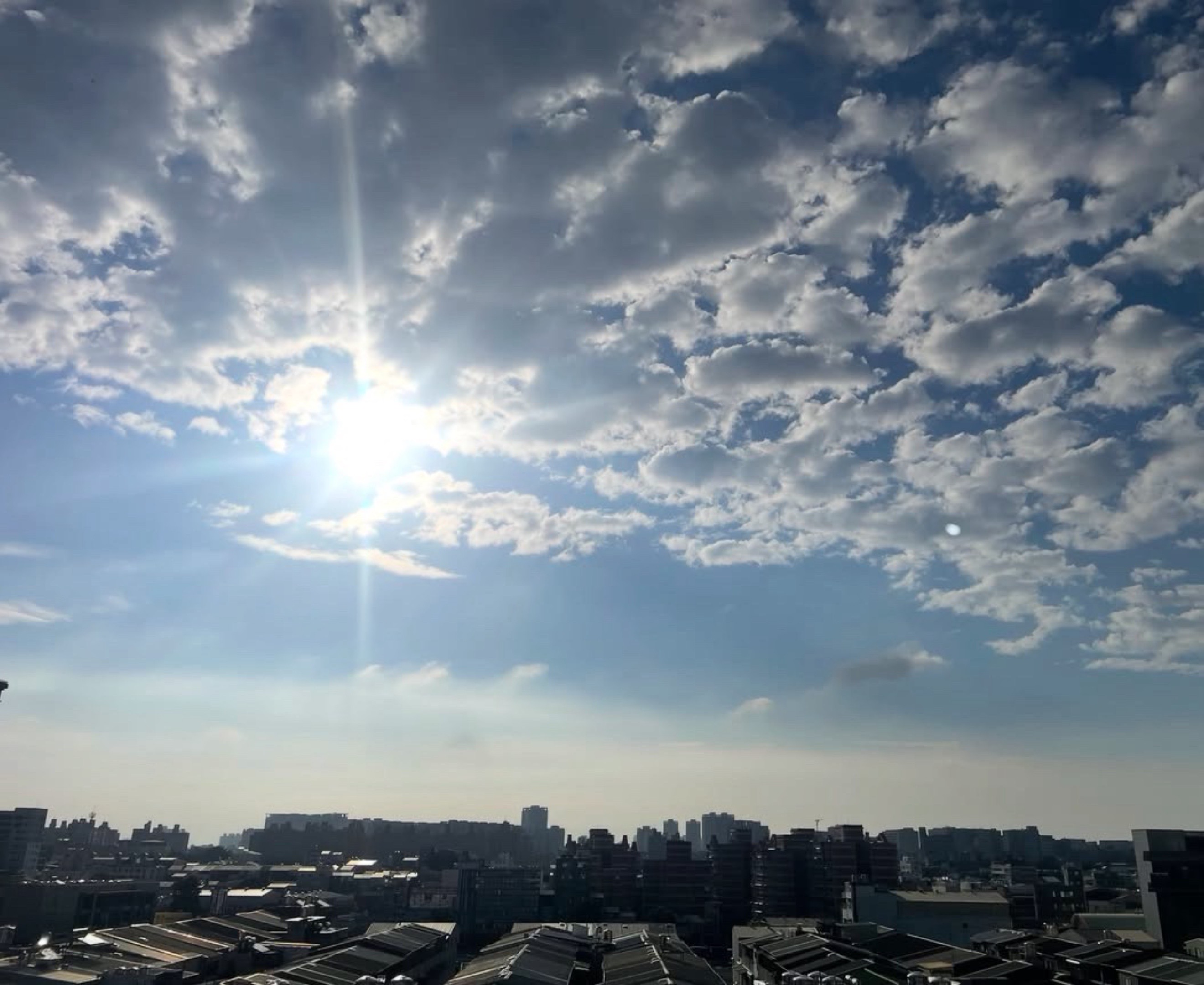 @張張