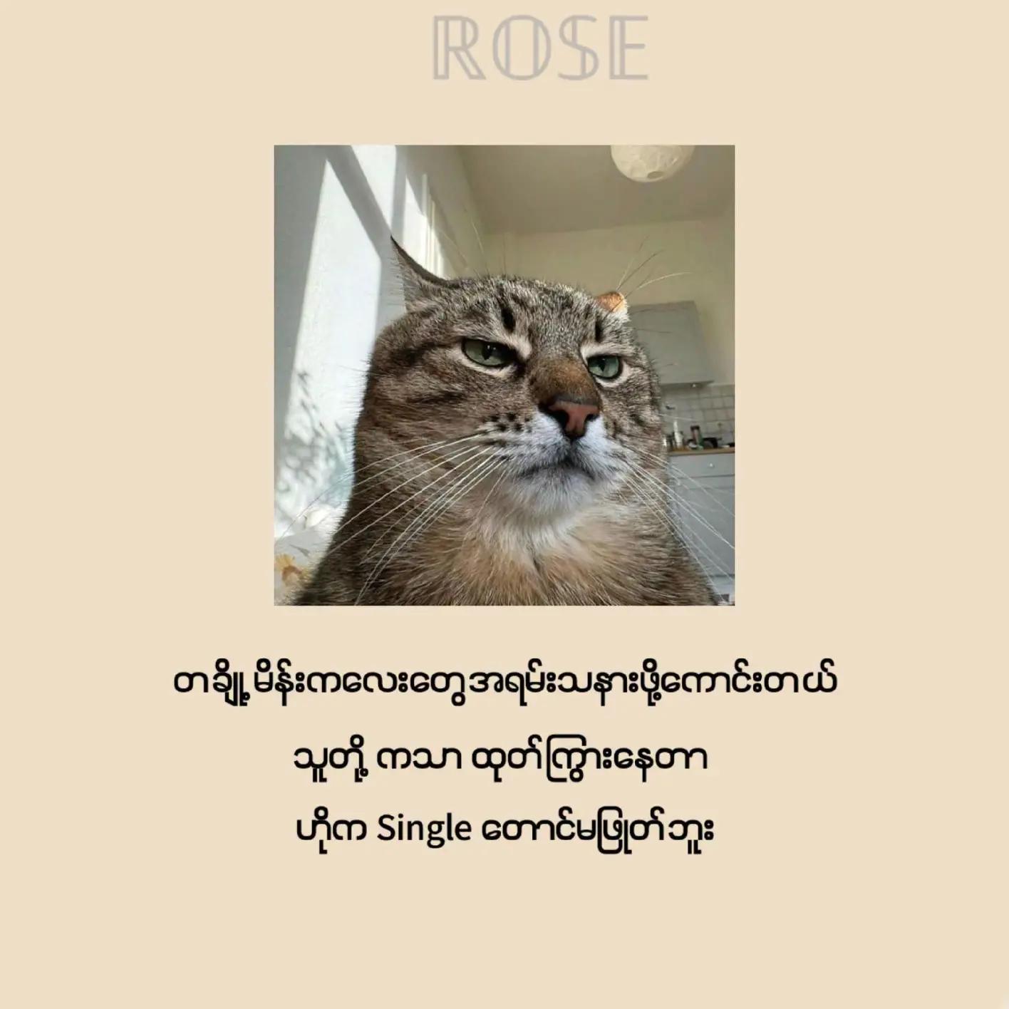 @๐ฌ๐๐๐๐๐๐๐จ