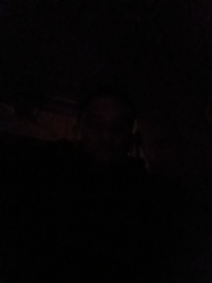 @yourboytroy