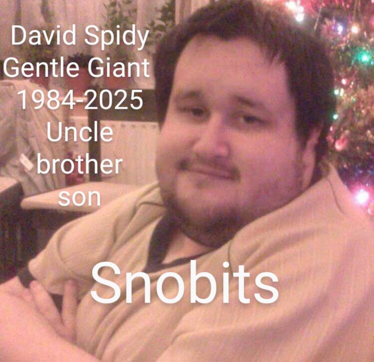 @The Spidy'S