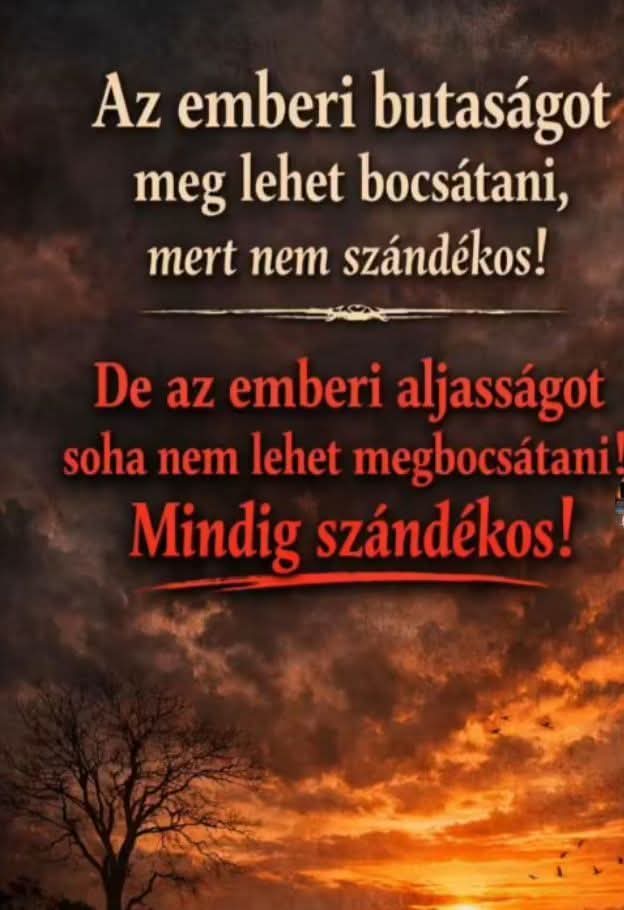 @T&iacute;mea B&aacute;csalm&aacute;si