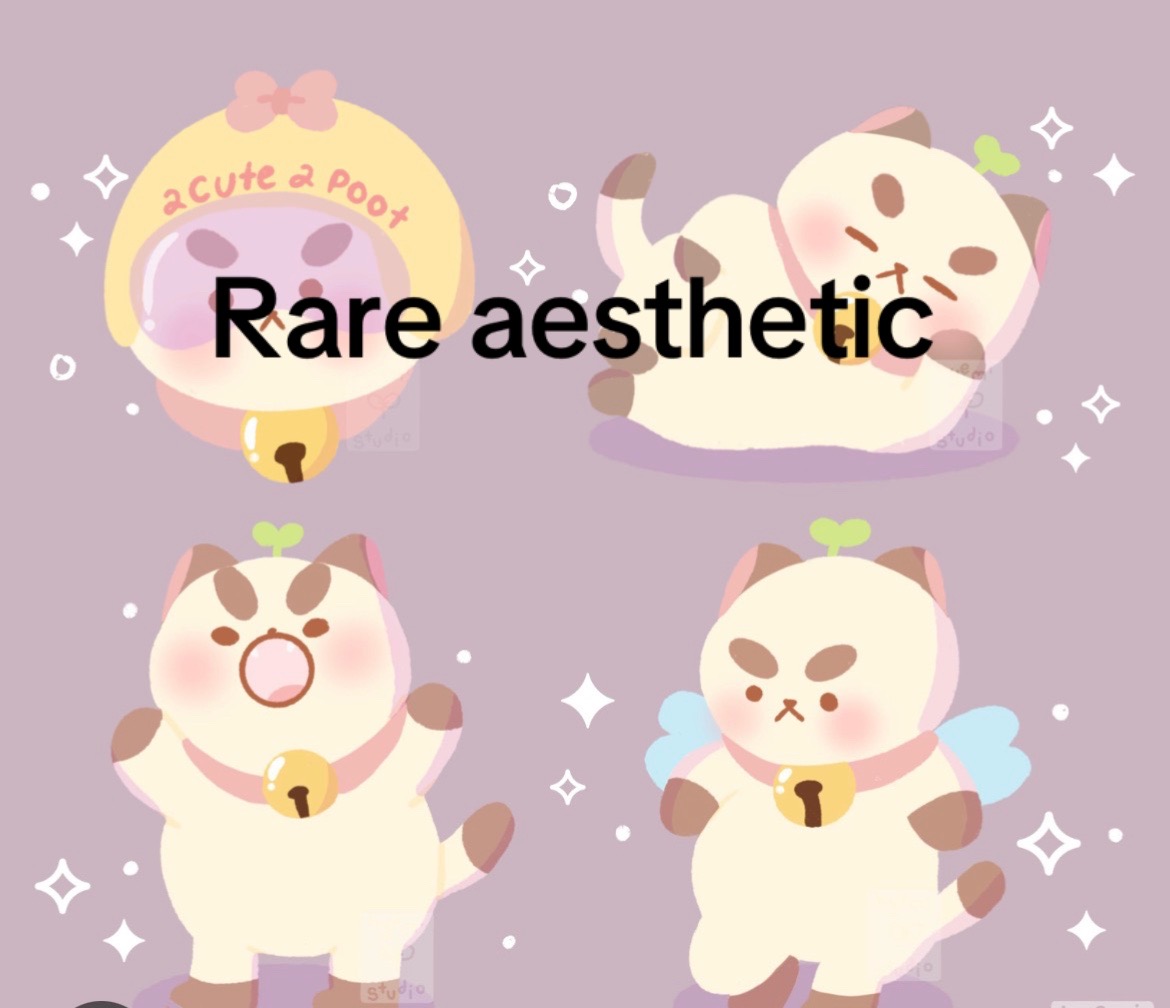 @beeeee 🐝