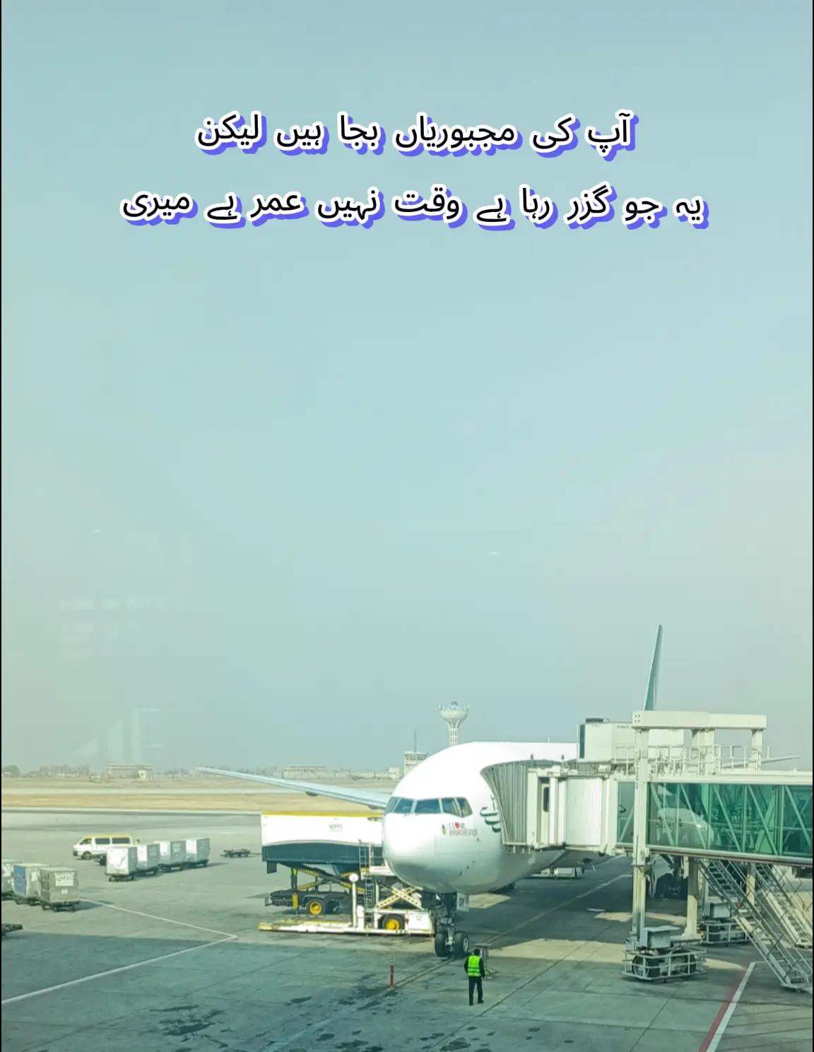 @🕊️