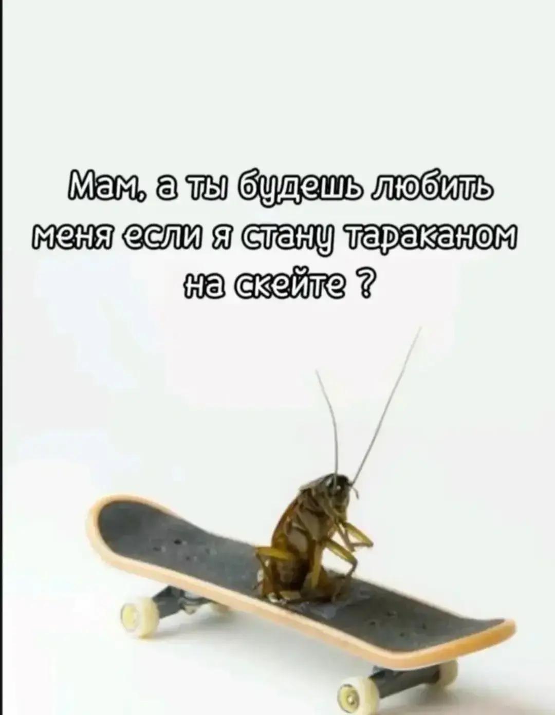 @Подонок🤩