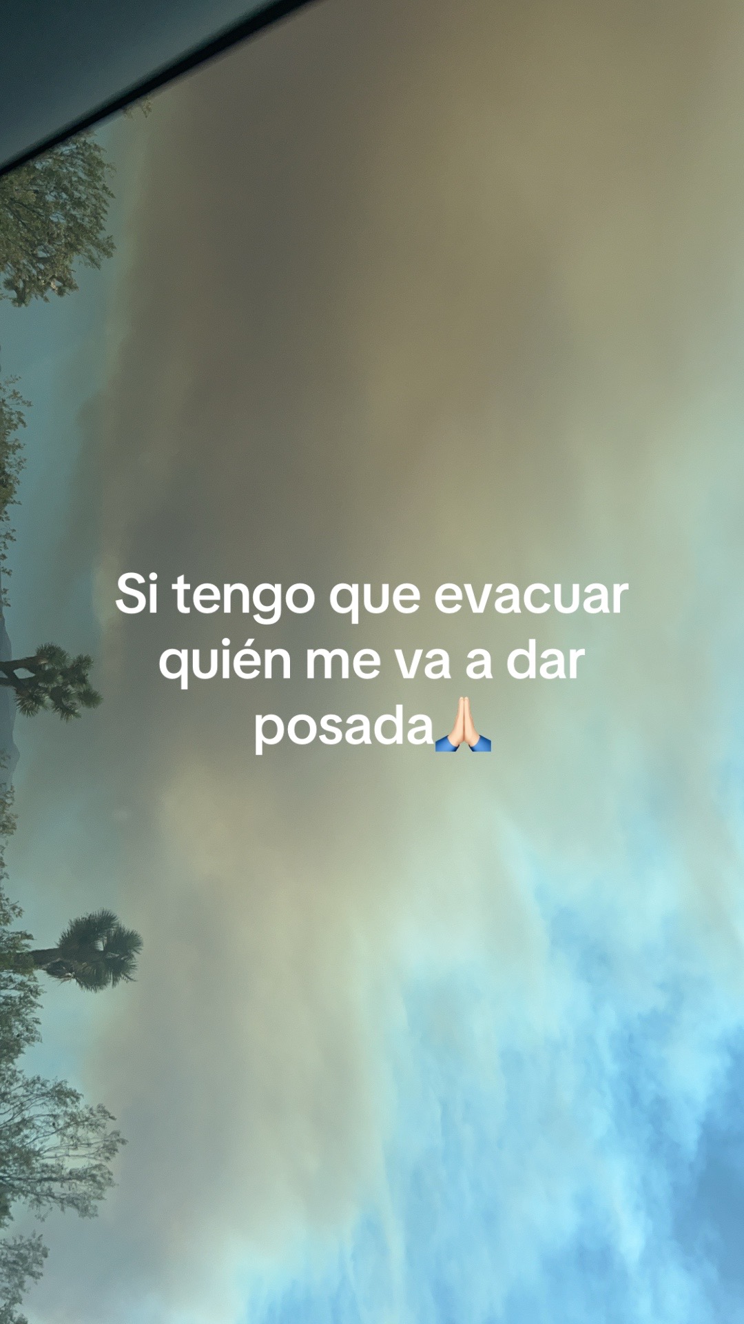 @Elizabeth Mendoza