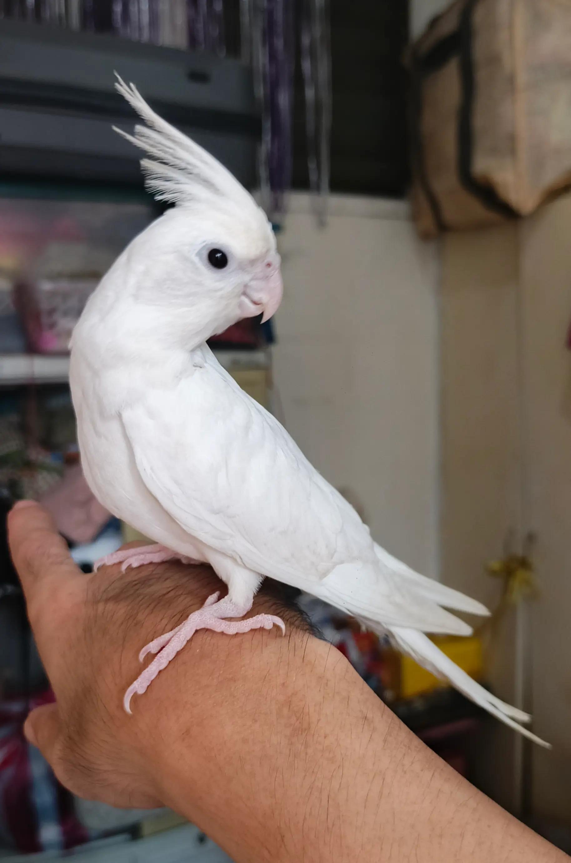 @𝑺𝒖𝒑𝒆𝒓𝑴𝒂𝒓𝒊𝒐