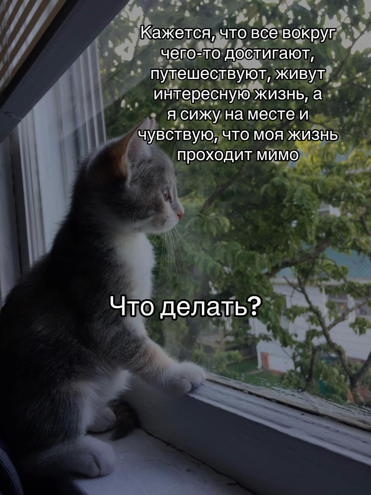 @тгк: психология с марго