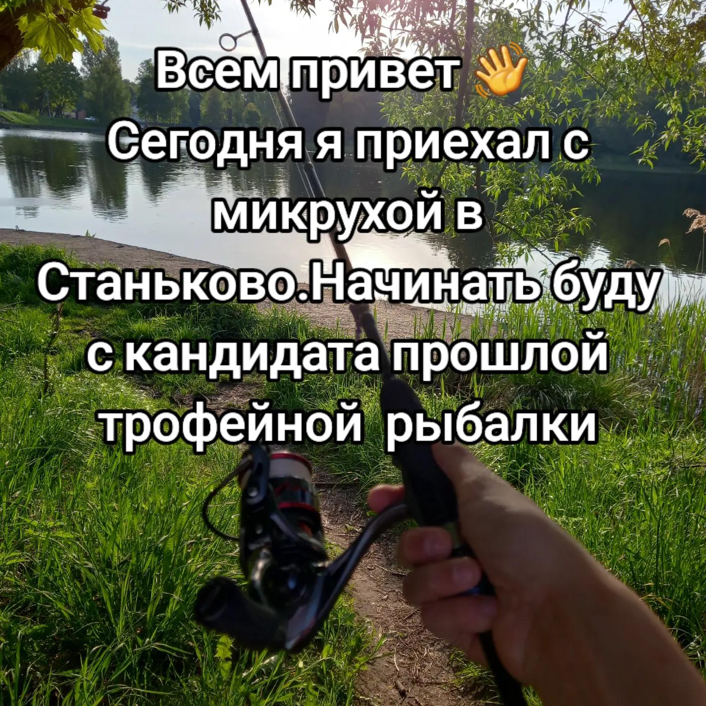 @TimaFish