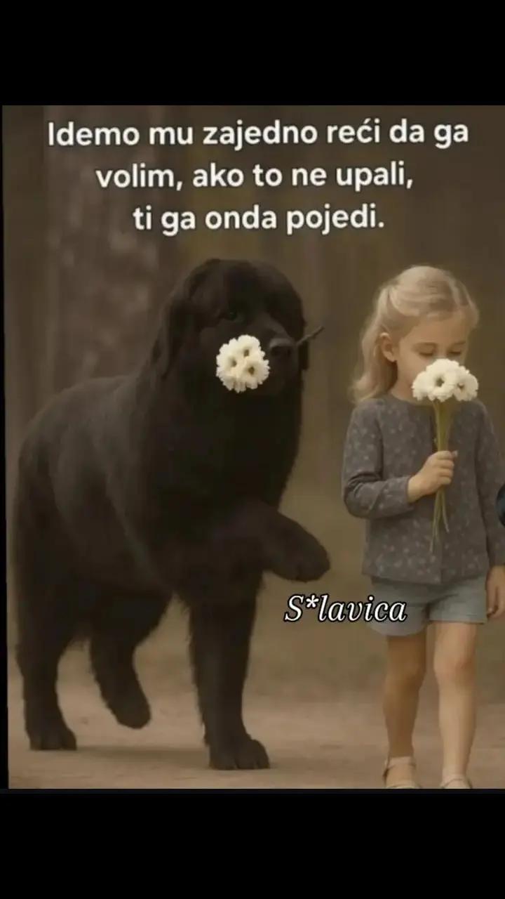 @slavicabugariboi