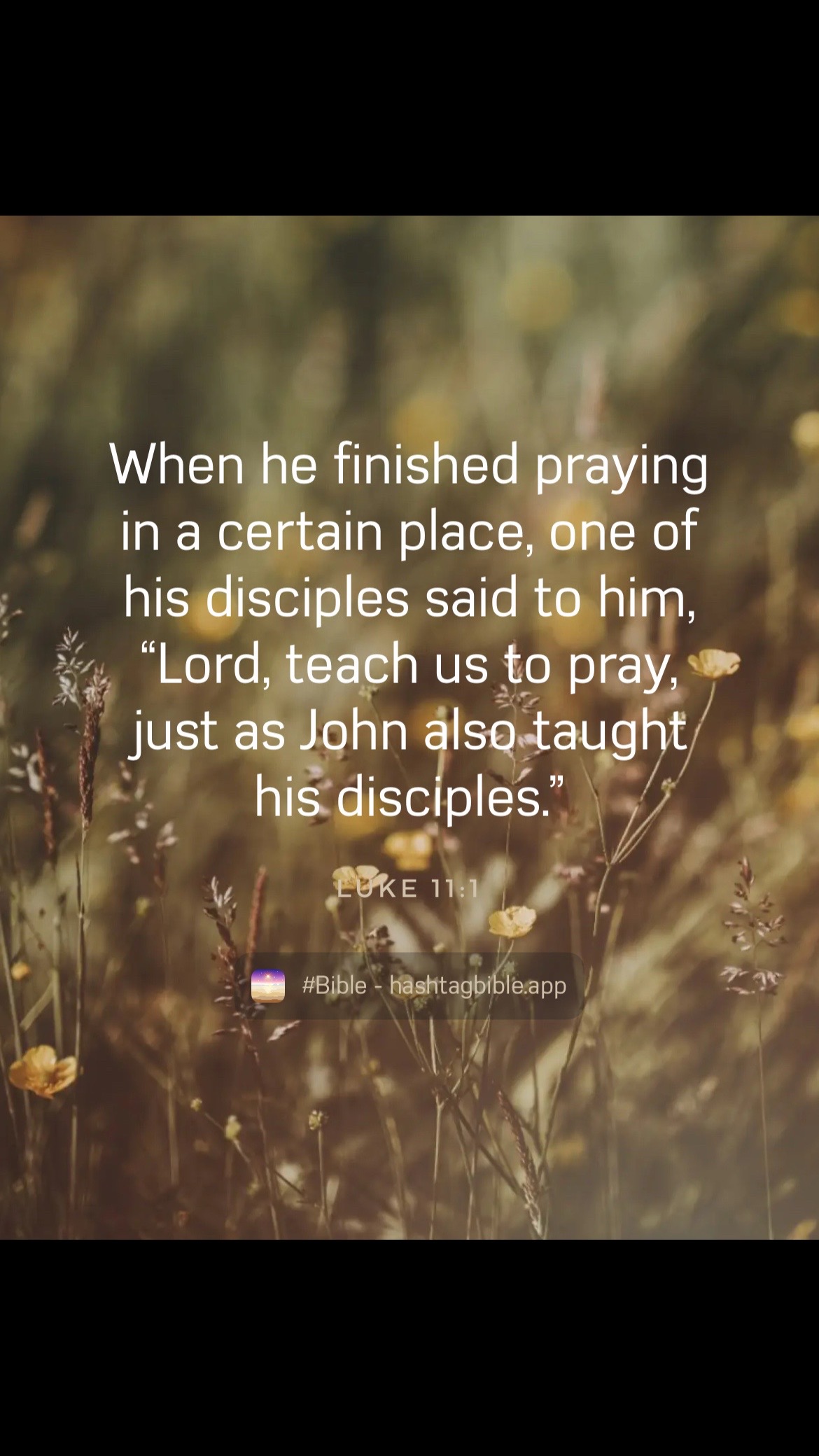 @JESUS CHRIST IS LORD✝️
