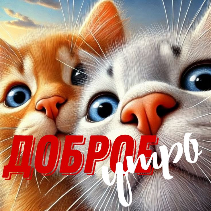 @Александр