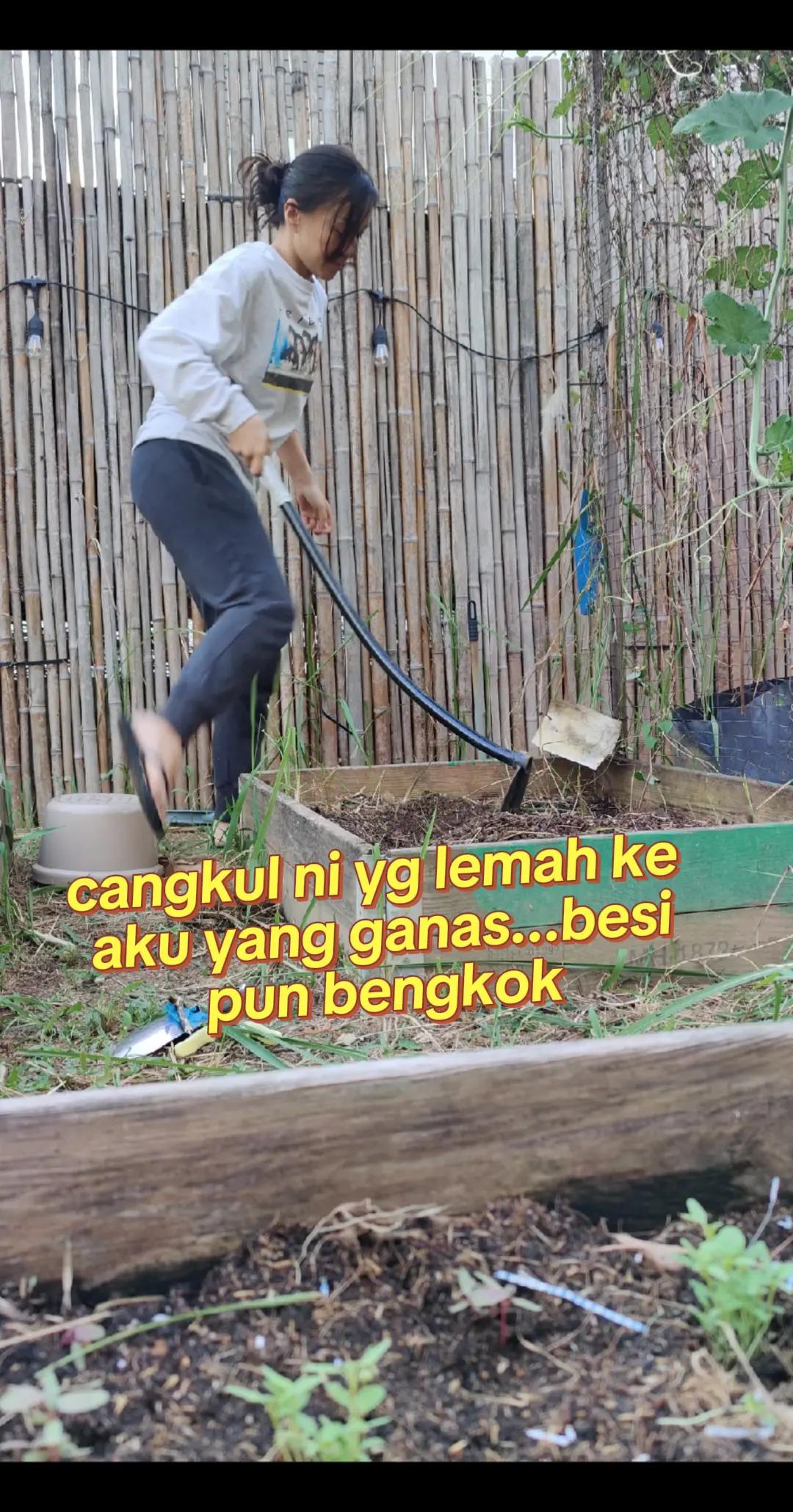 @Joo Ann