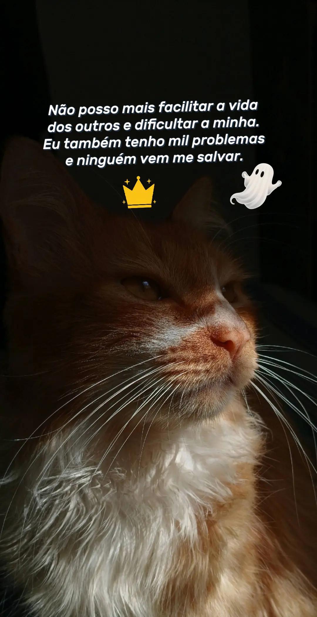 @Maria Eduarda mãe aos 13 anos