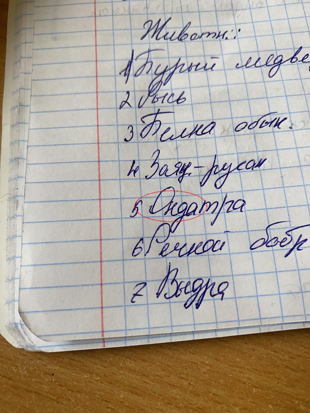 @диша