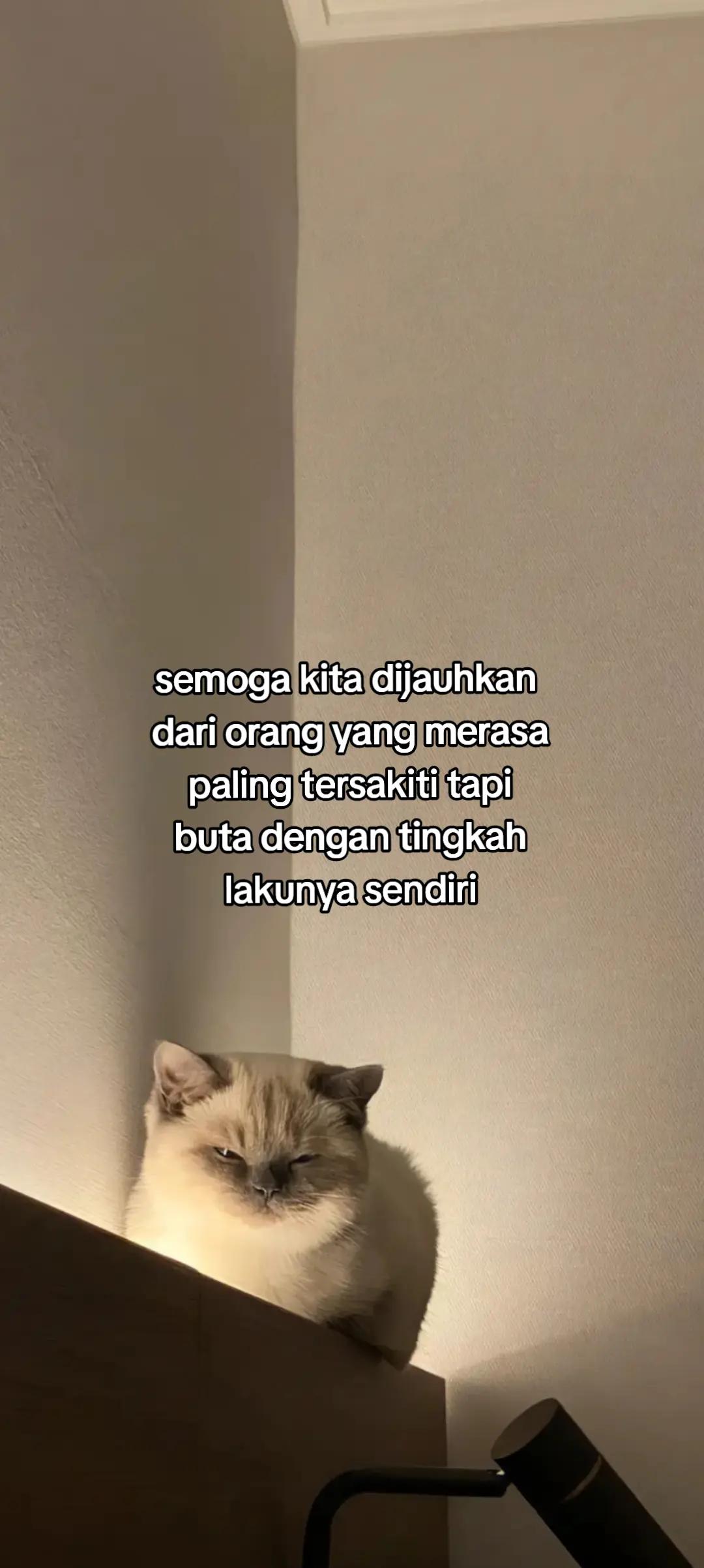 @1717