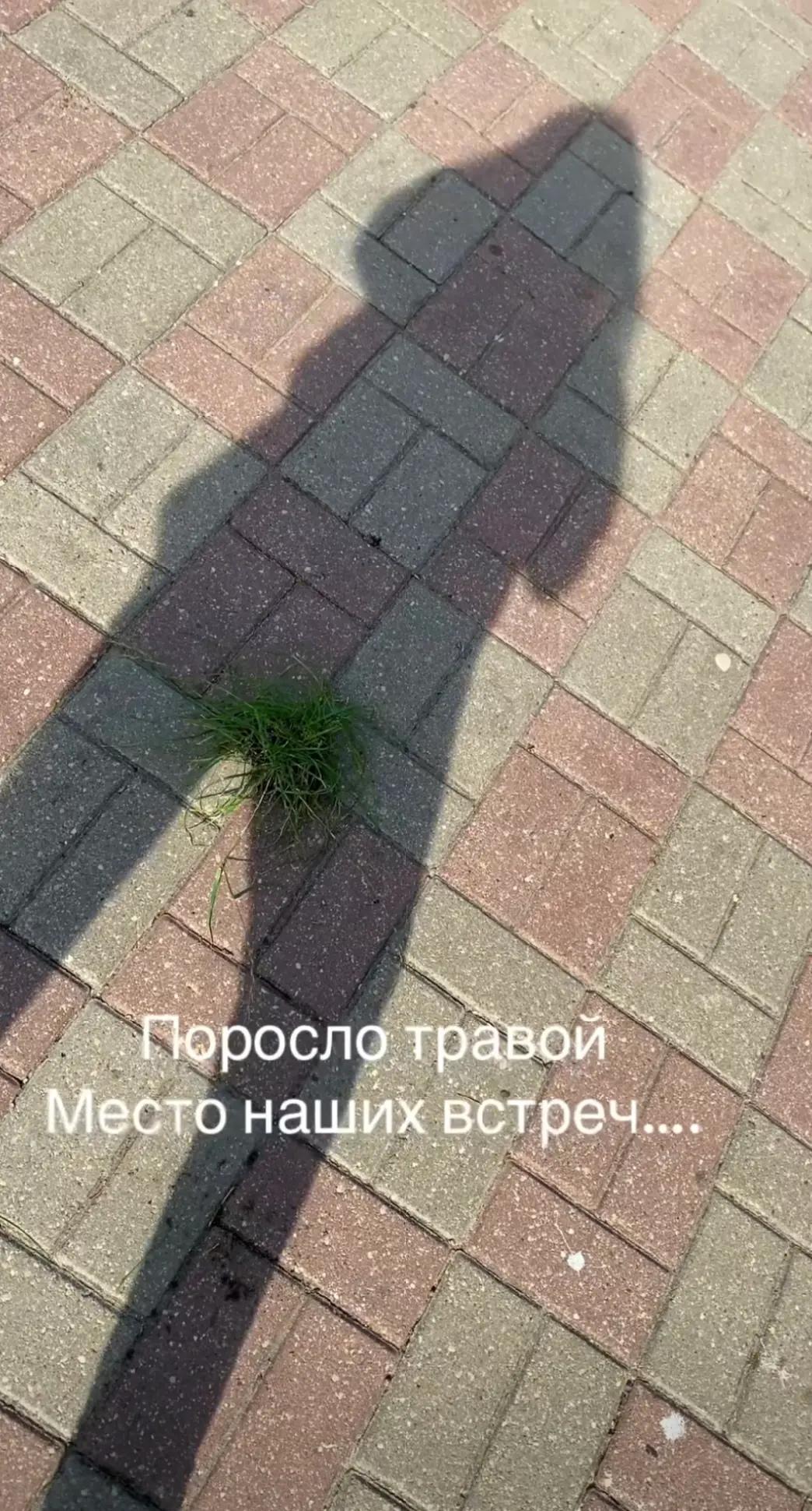 @Rusik