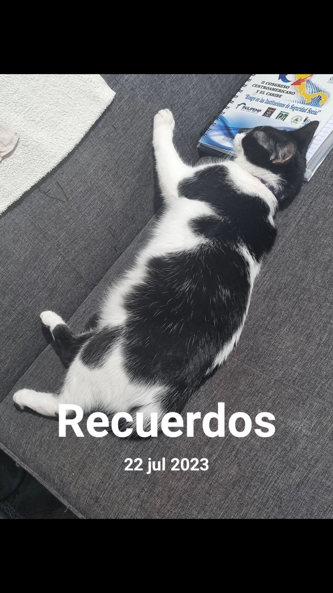 @Carmencita