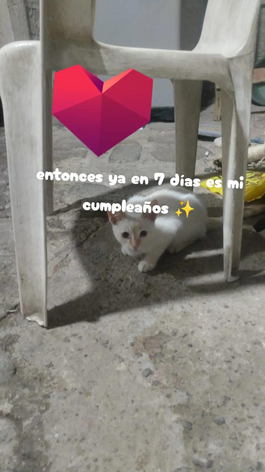 @...