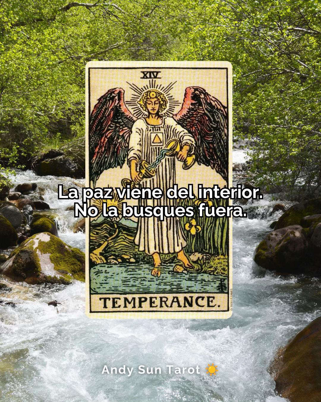 @Andy Sun Tarot ☀️