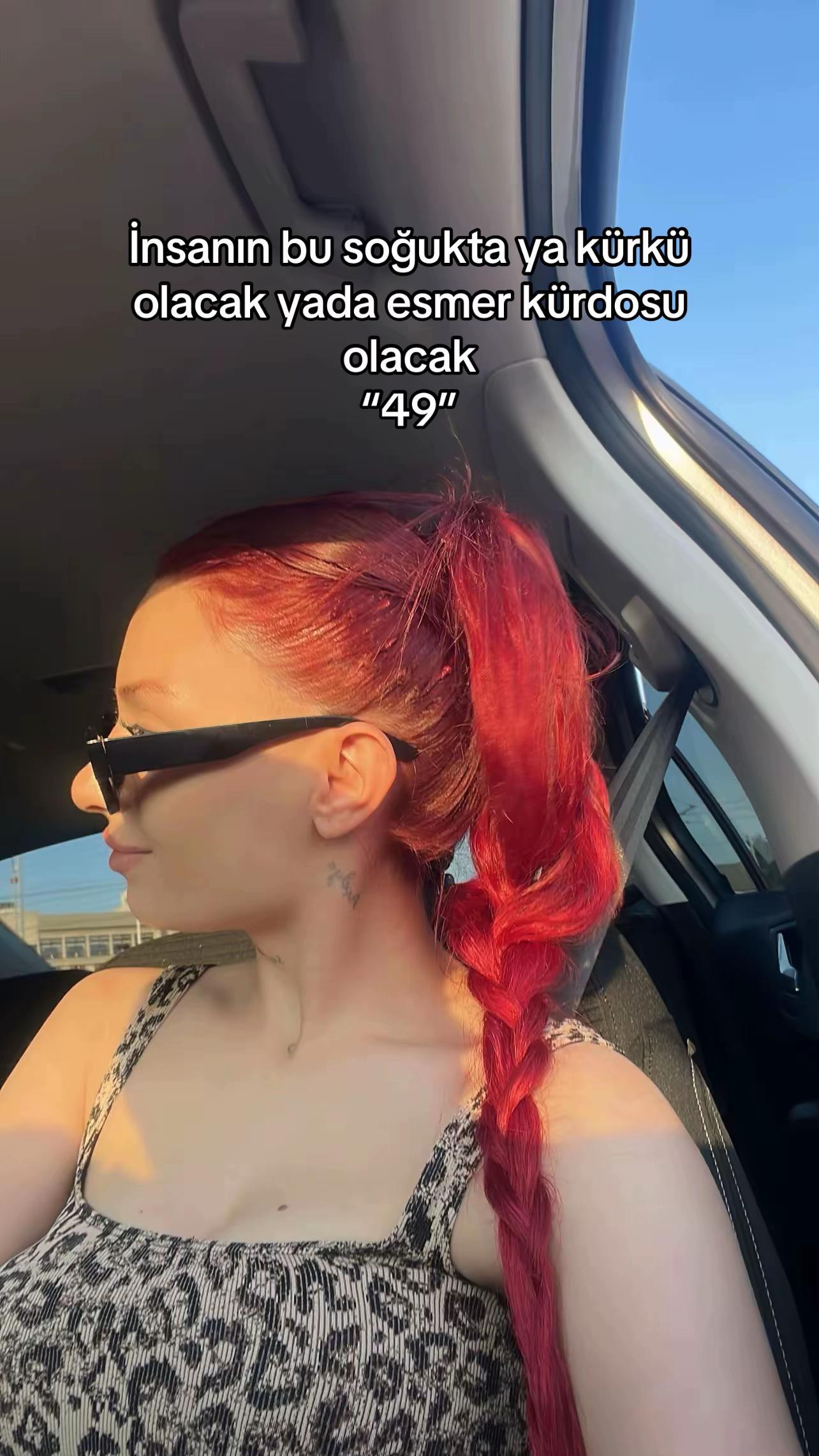 @acellyaamm