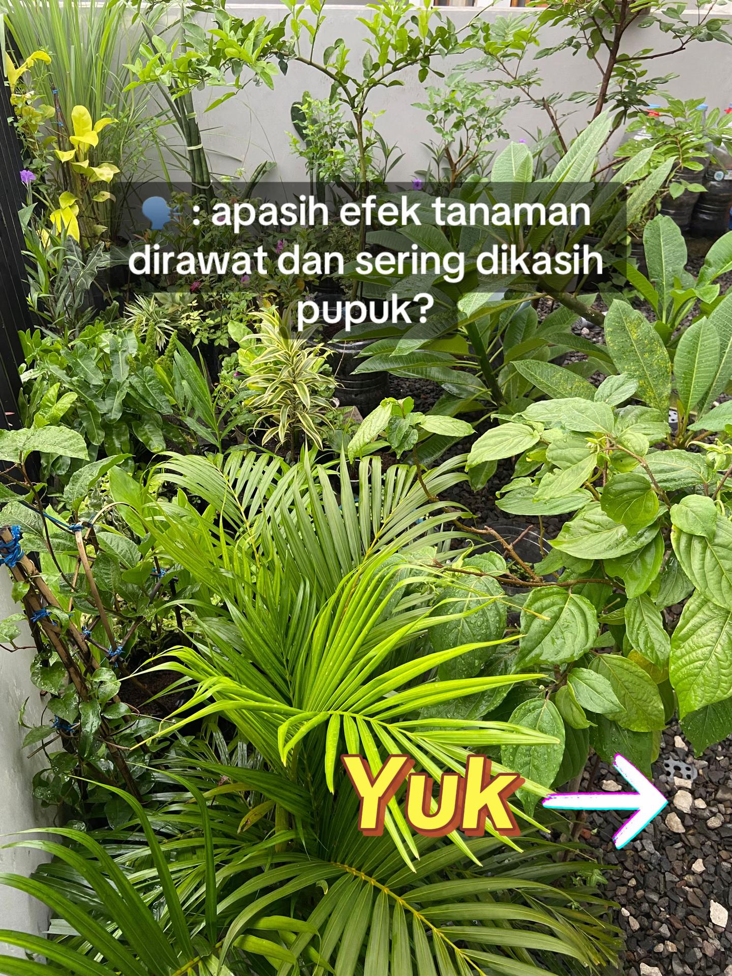 @Rumah Bertiga