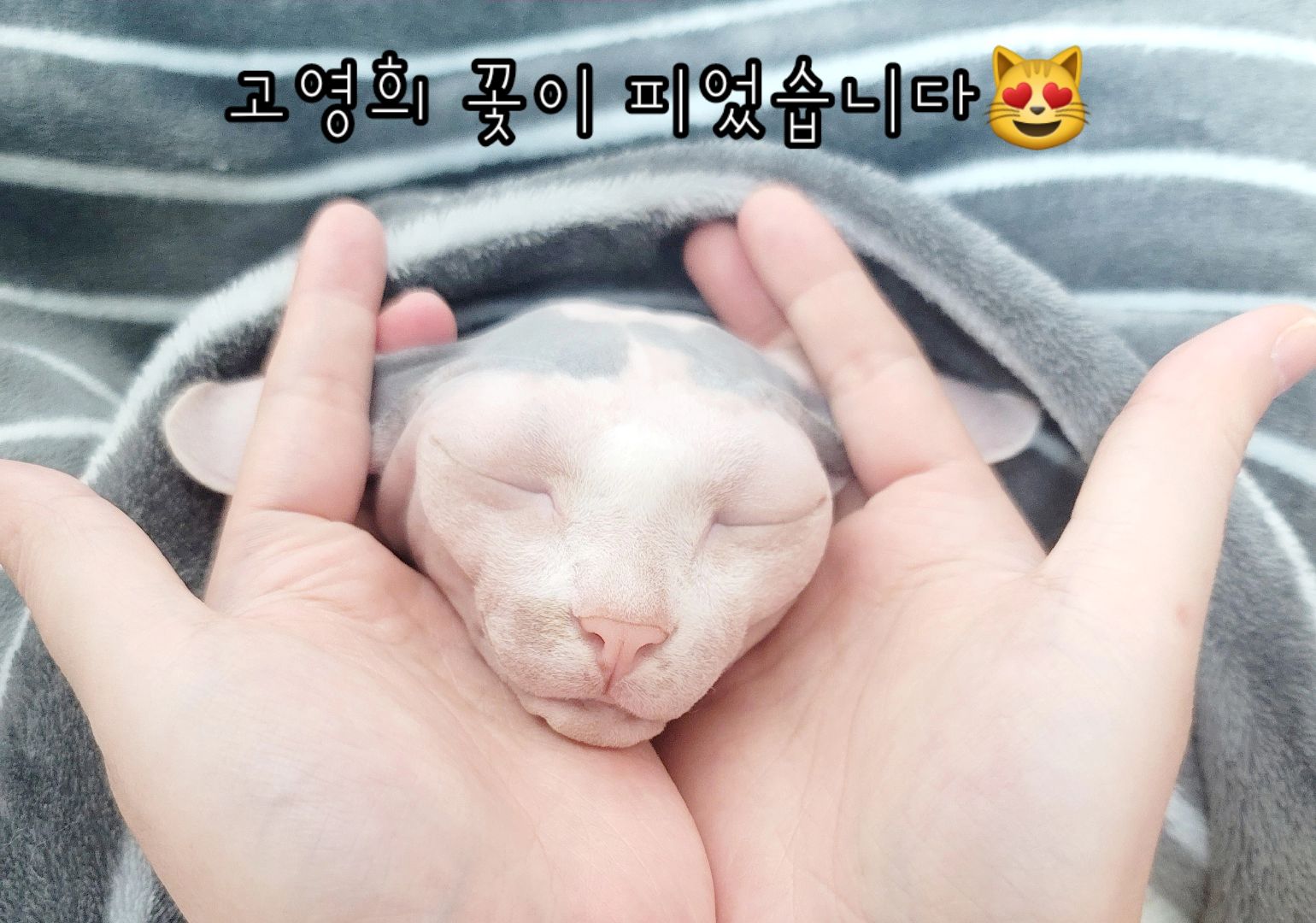 @짠주몬
