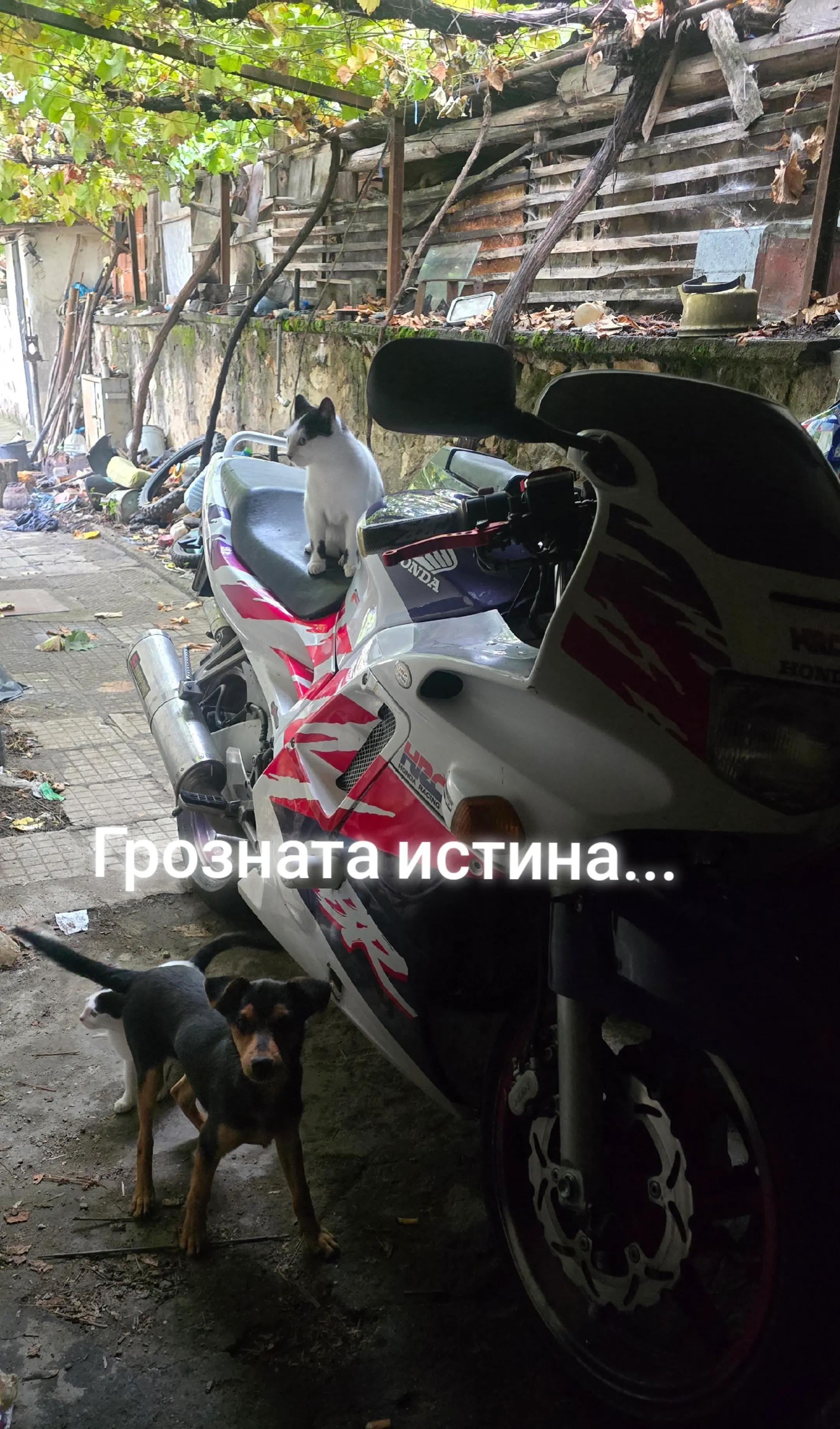 @Nasko Danchev