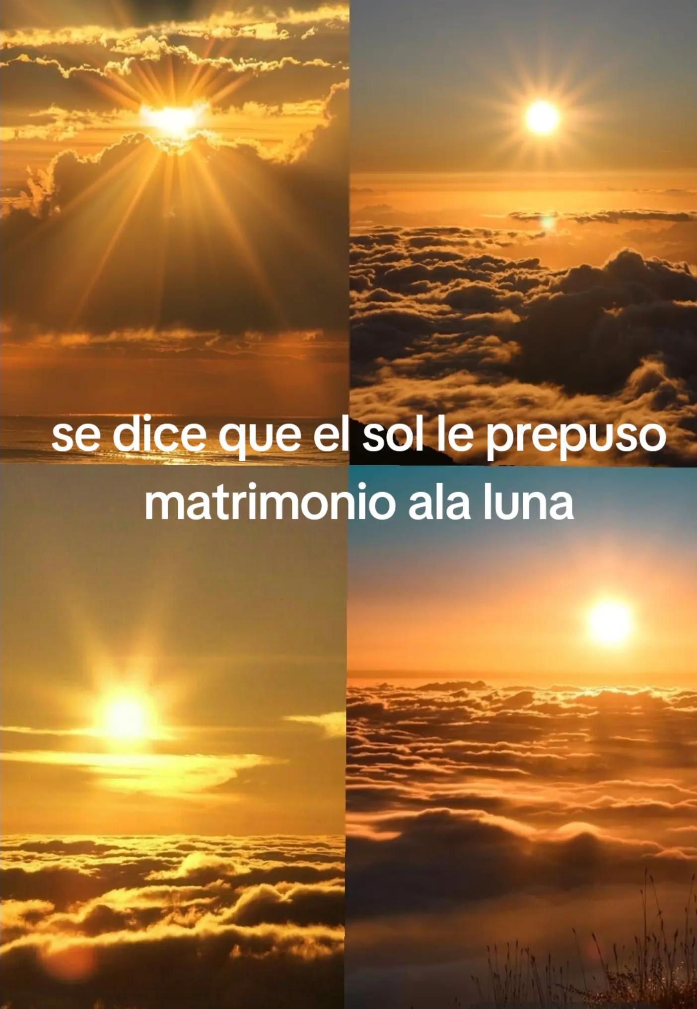 @☆•°Viole•°☆