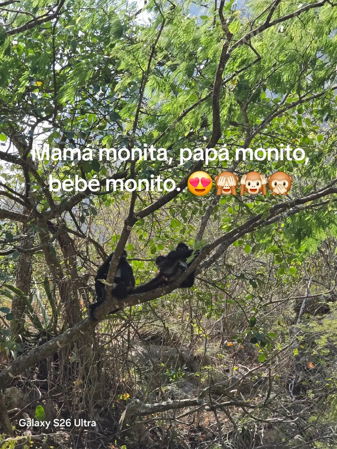 @Mellamoalacran