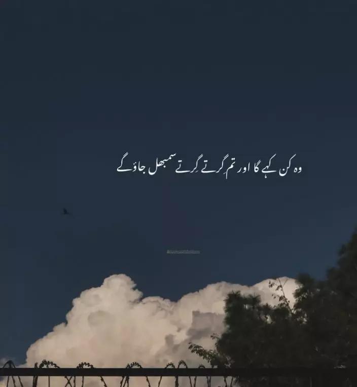 @chandakiani1