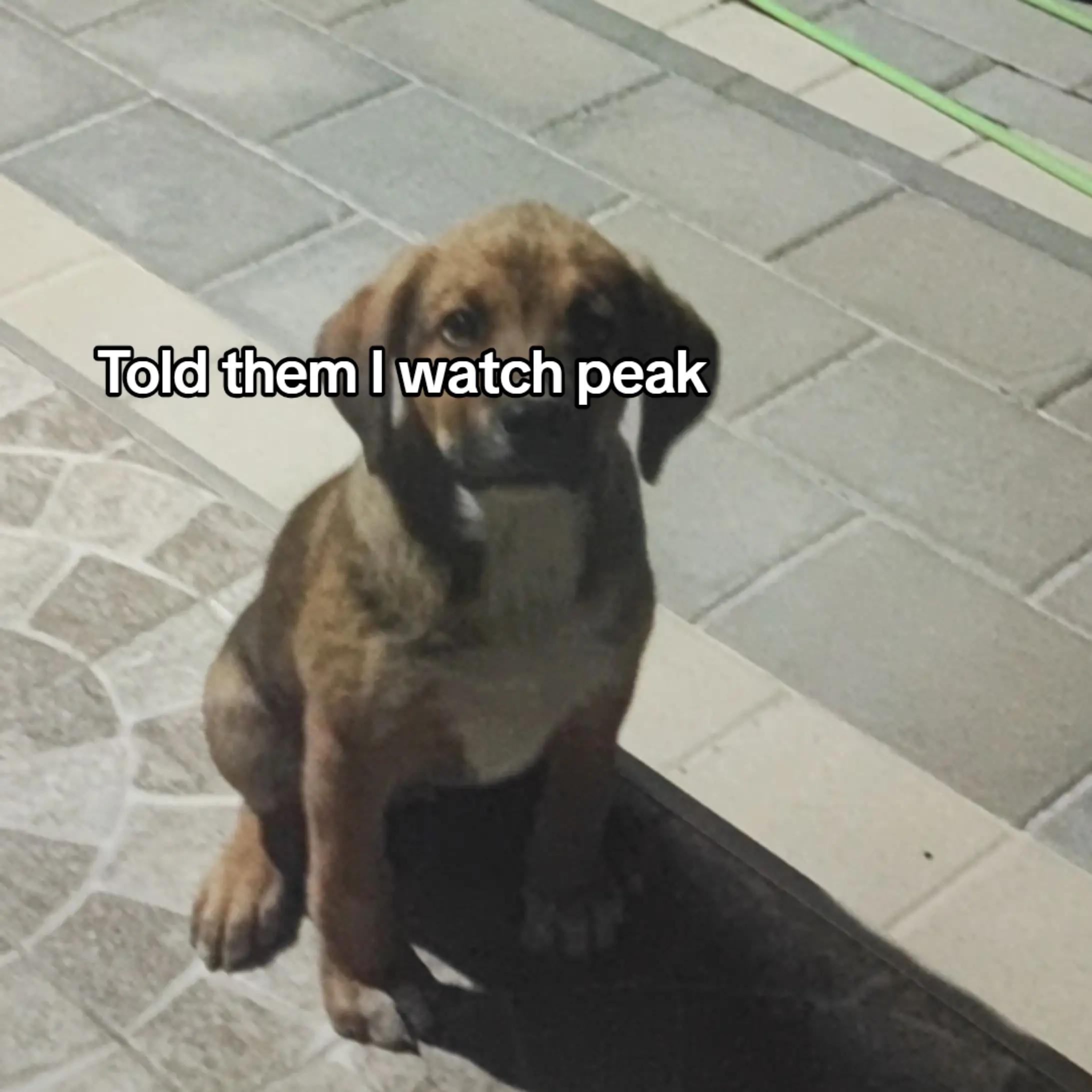 @unknown