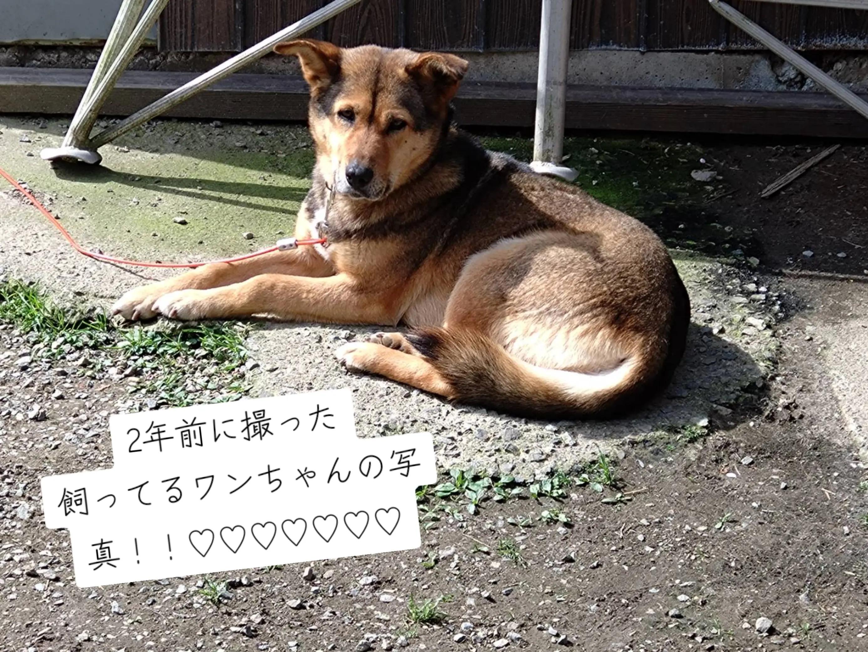 @🐿️🐴みあ🐿🐿