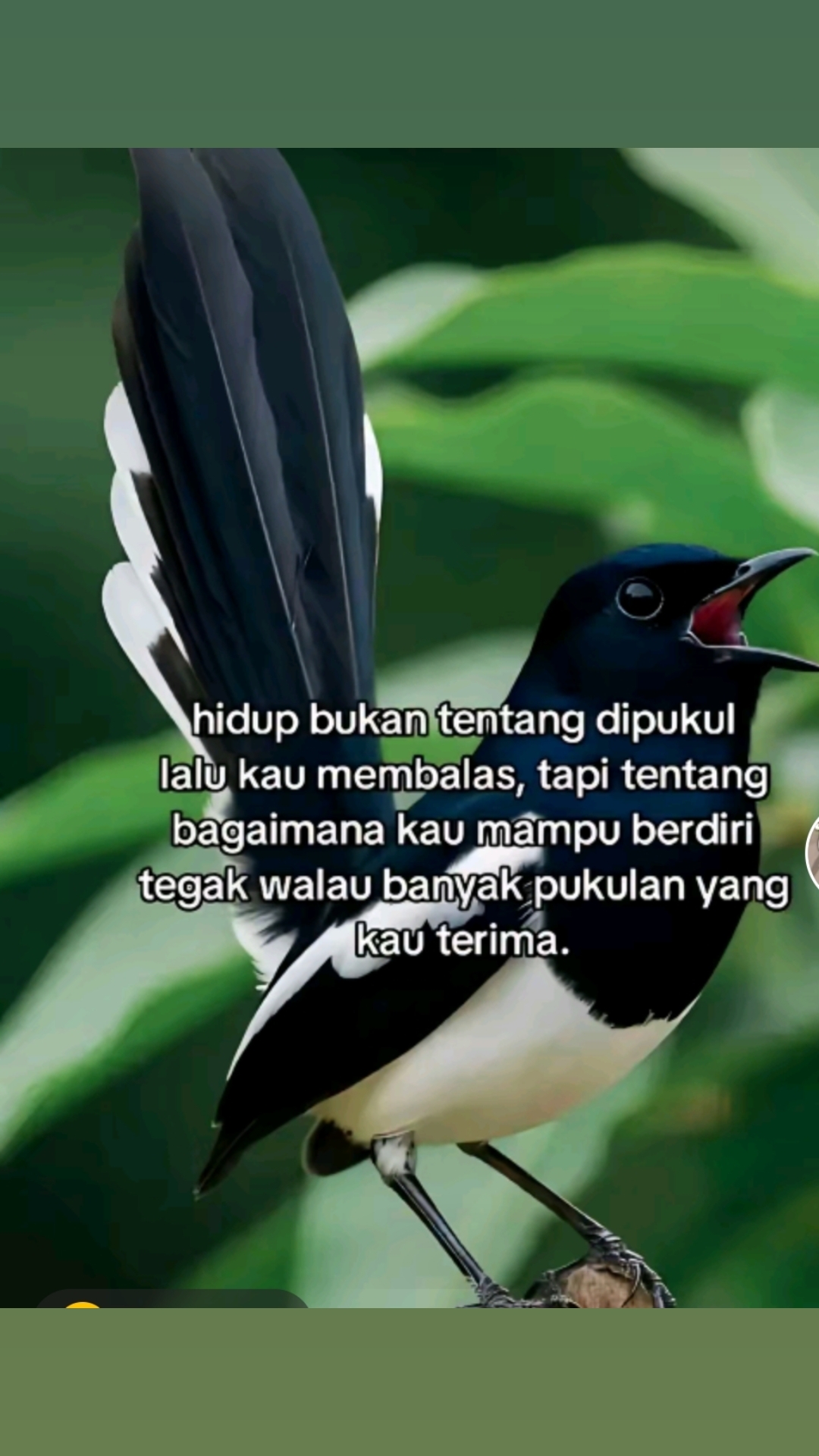 @@mama_al