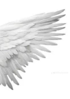 @Angelic 4 me🪽