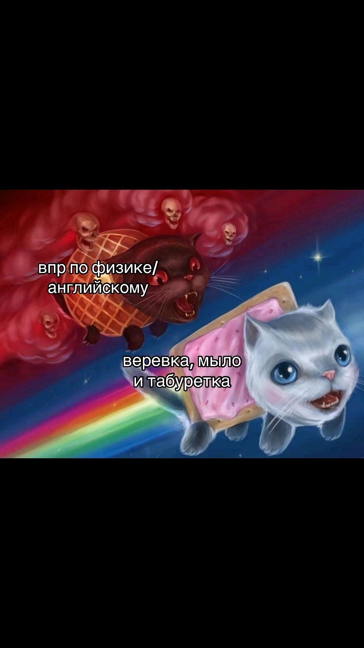 @˗ˏˋ ꒰ purrr asya