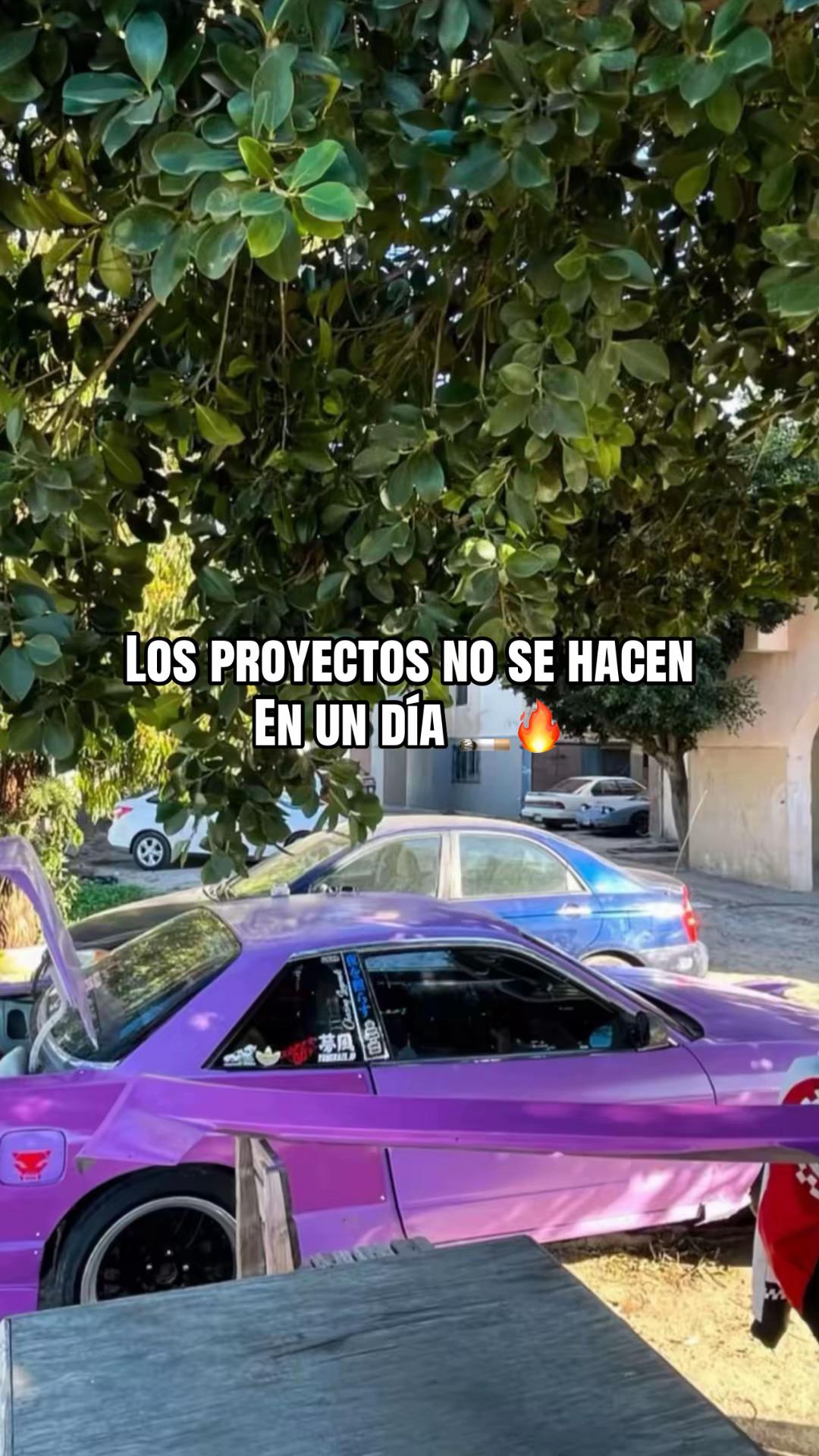 @BellaNissan
