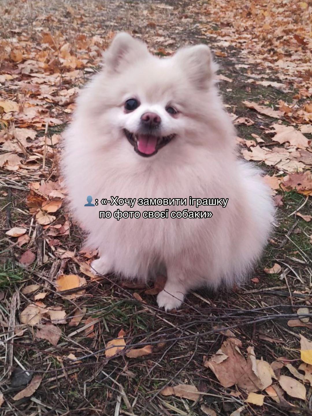 @З вами Даша✌🏻