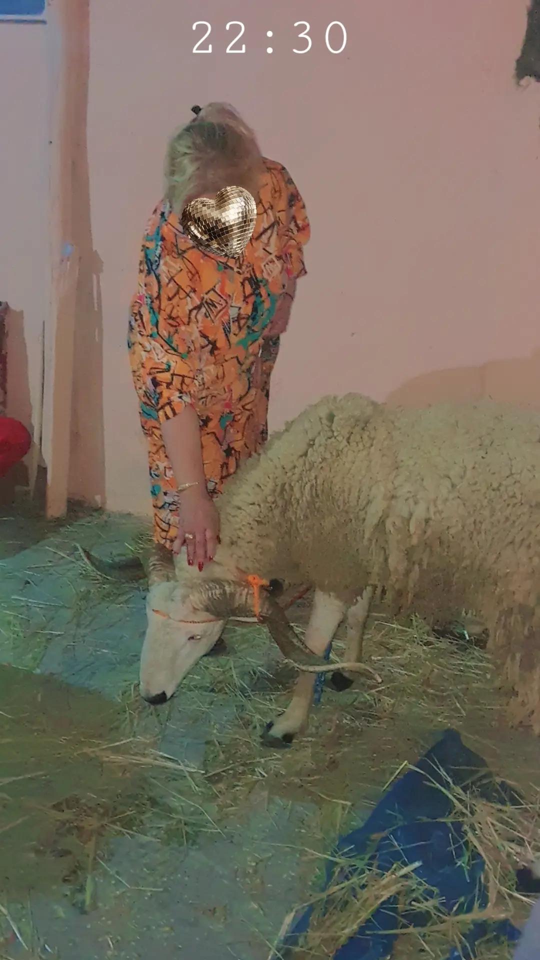 @أميرة نفسي👑