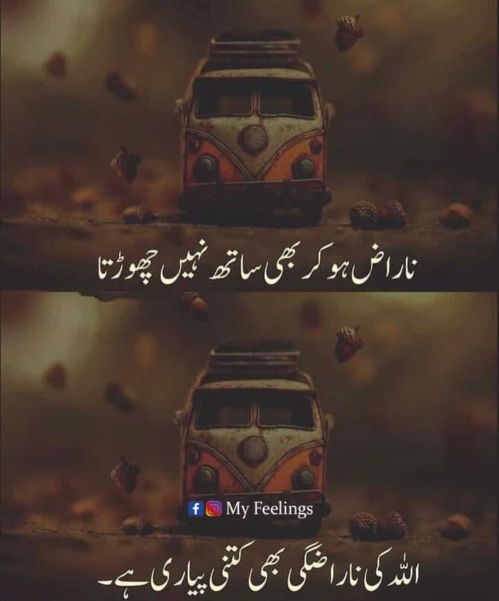 @نصر اللہ خان سلیمان خیل 🇪🇺💸