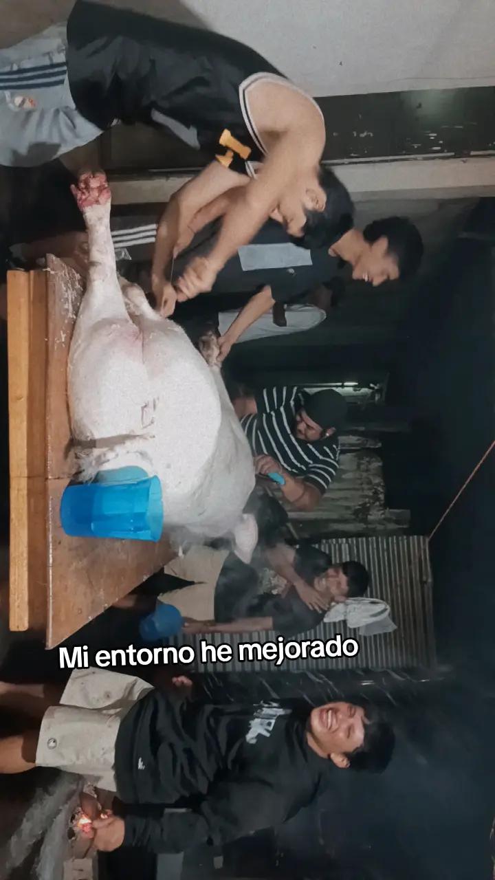 @maylyn