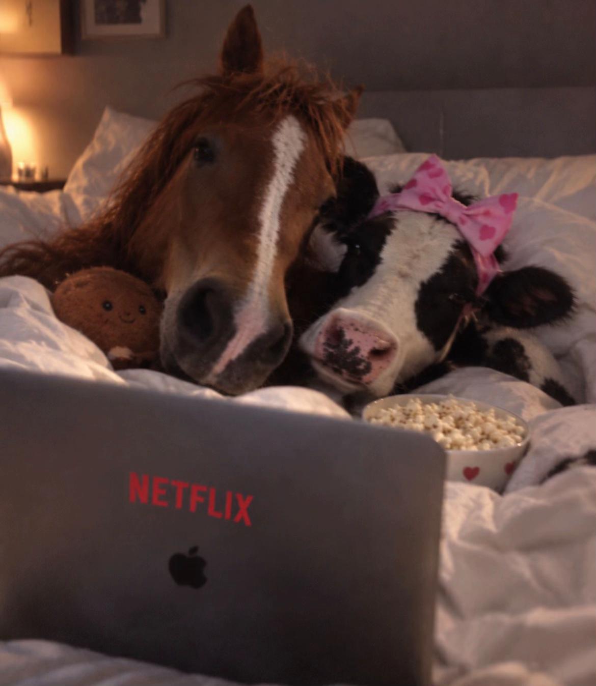 @@brunothehorse