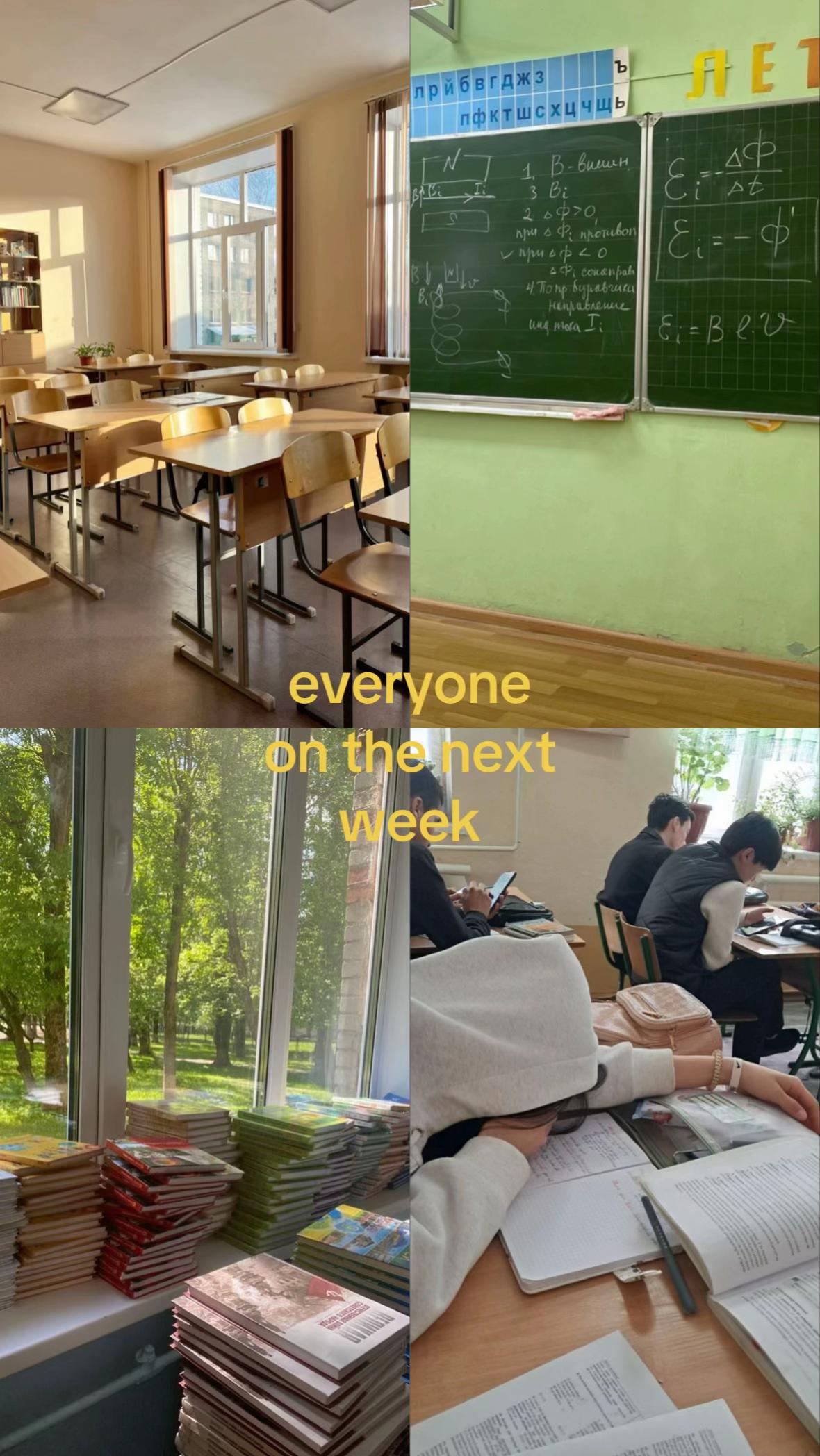 @forzakimi1