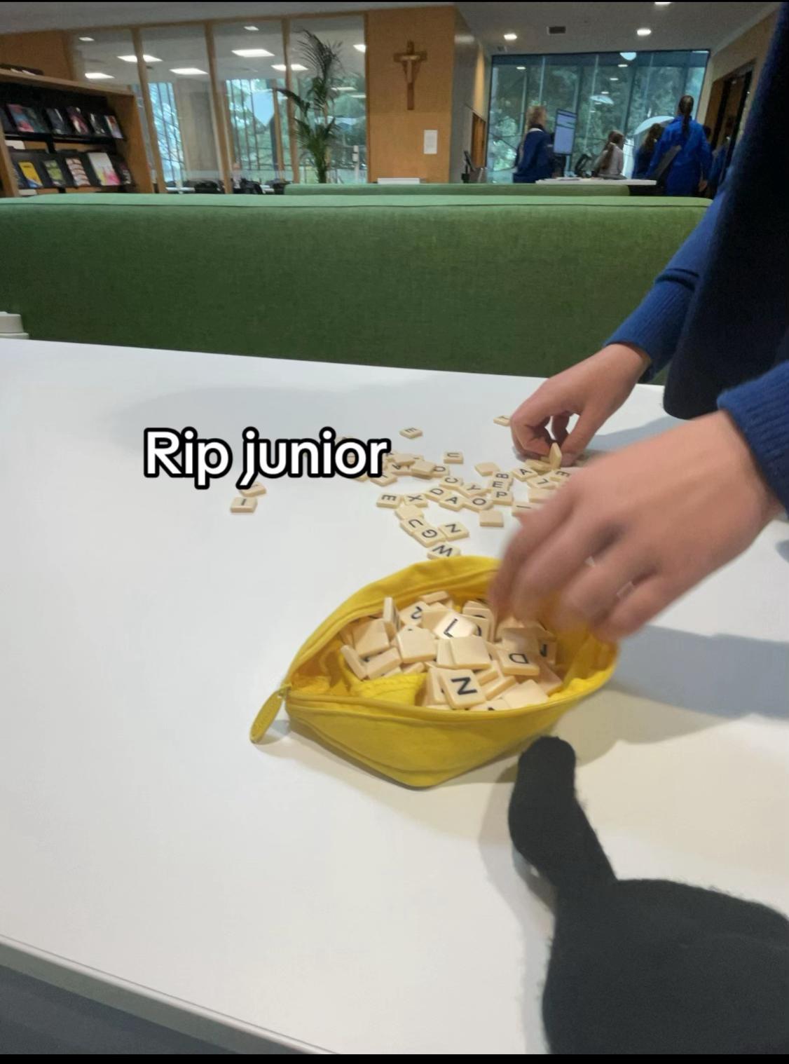 @user80085