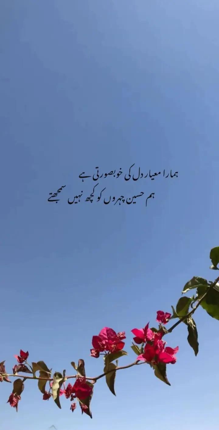 @Rana Hasnain