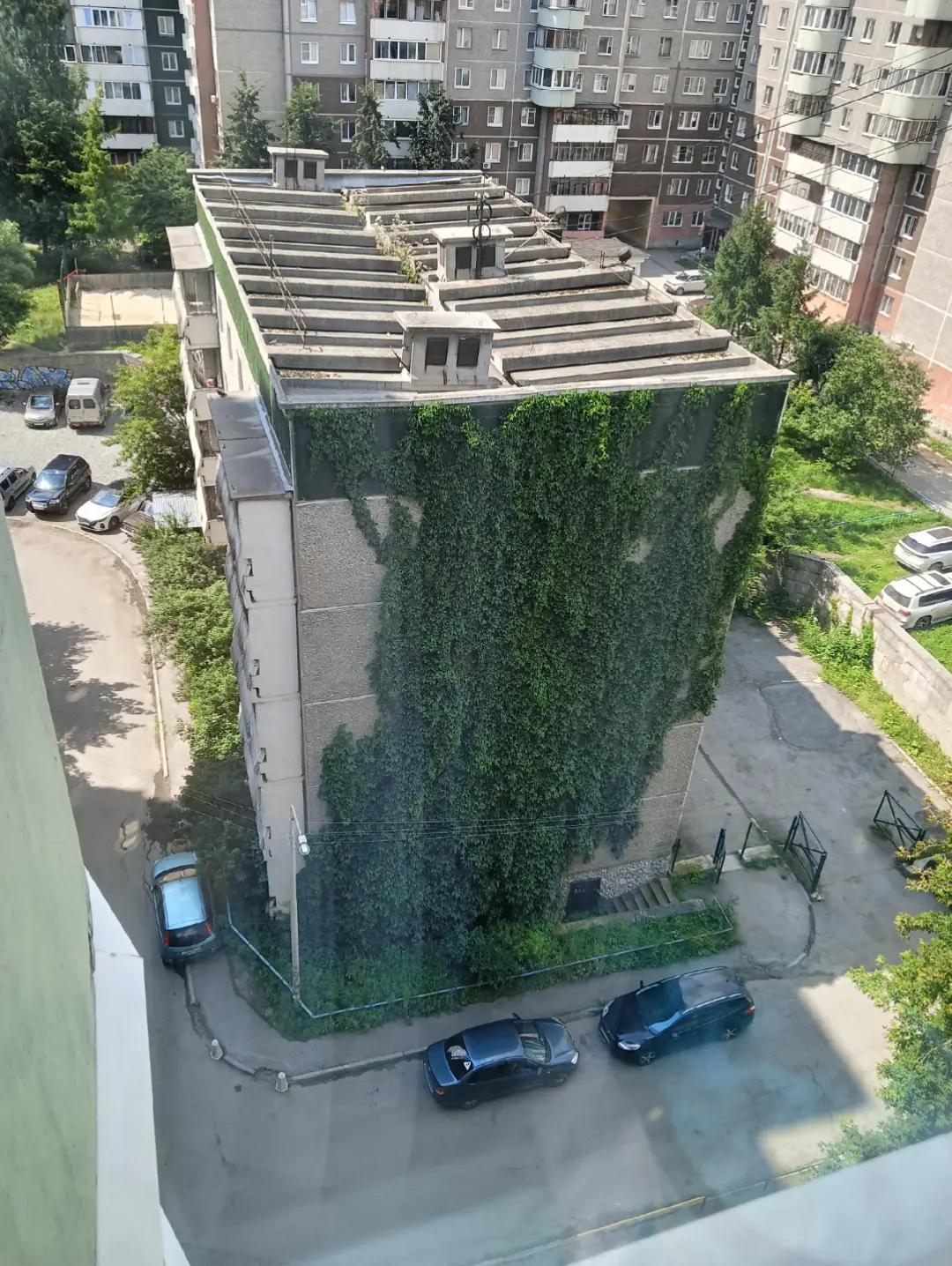 @коракусик