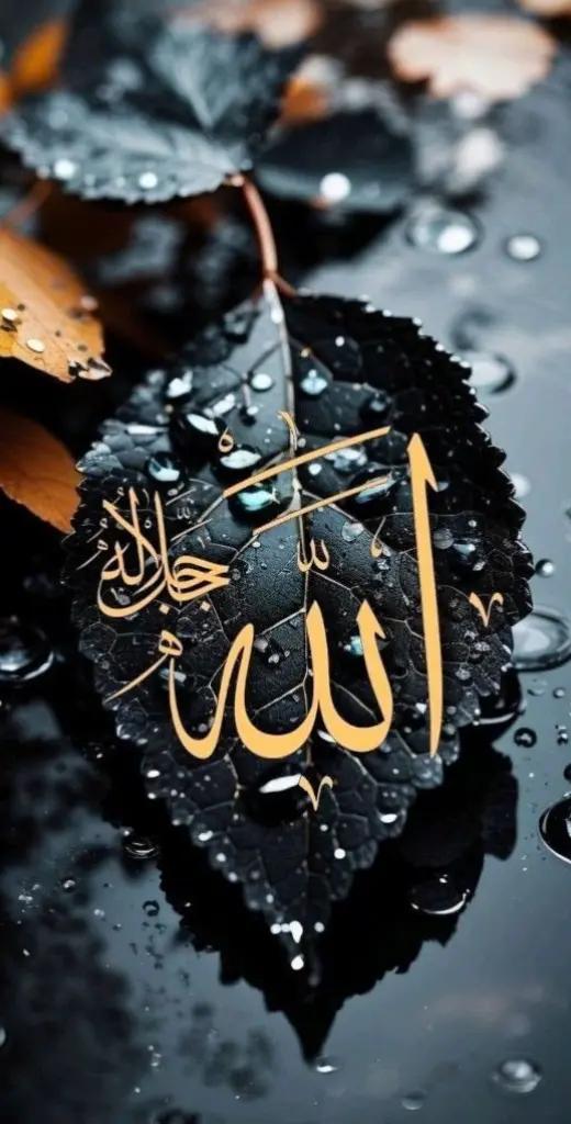 @HOLY QURAN ❤