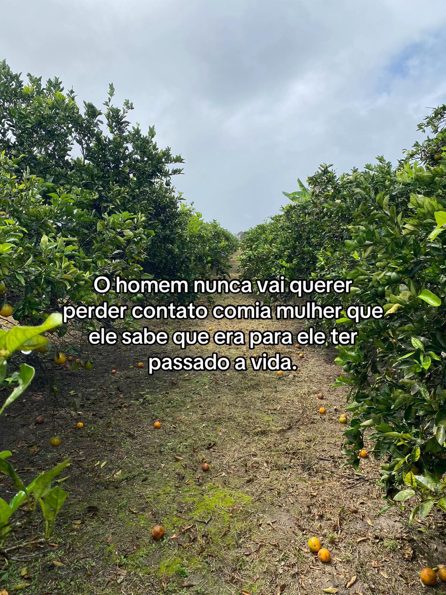 @Marcos Gomes 🇧🇷