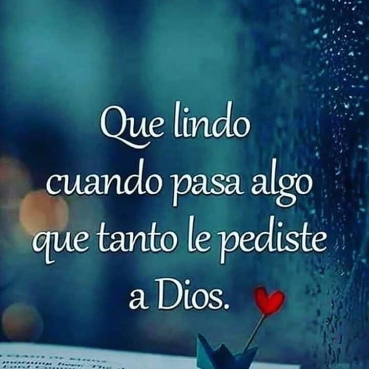 @elvirasvg