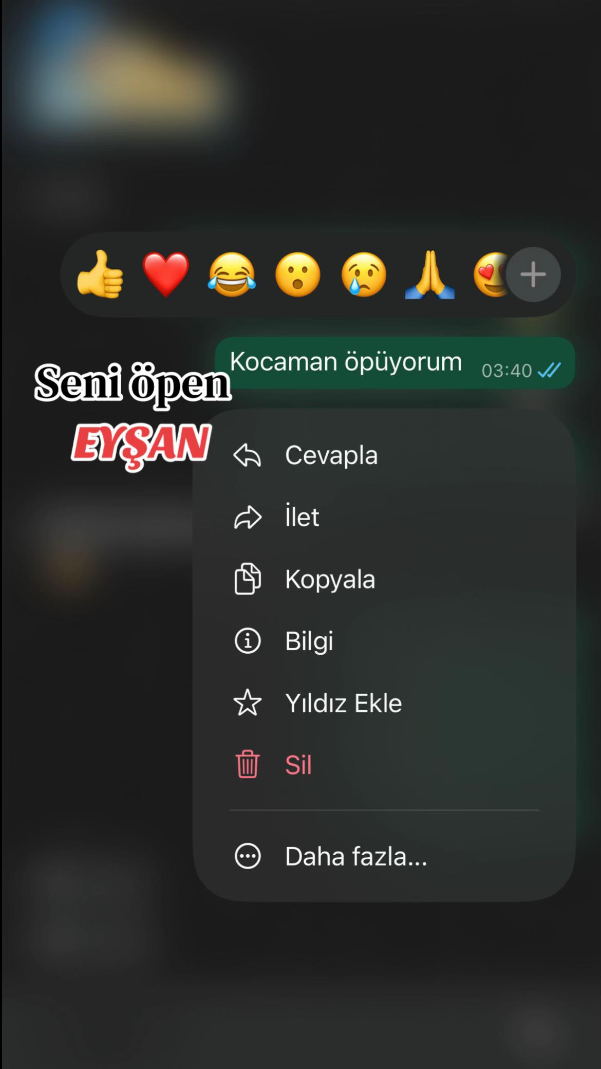 @saricitiirr